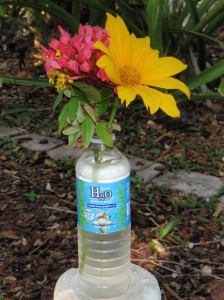 edwins flowers A beautiful gift from a tattered homeless man in Palmetto Bay.