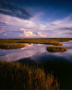 everglades everglades