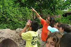 eco-academy Eco-Academy summer camp